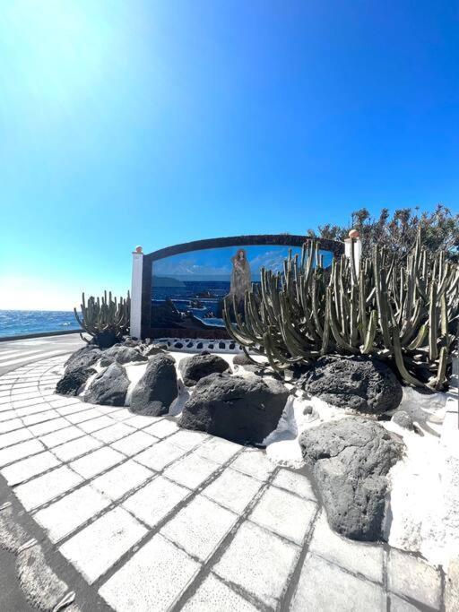 Casa A 50 Metros De La Playa. Supreme Pedro Villa El Socorro Eksteriør billede
